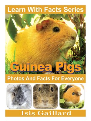 cover image of Guinea Pigs Photos and Facts for Everyone